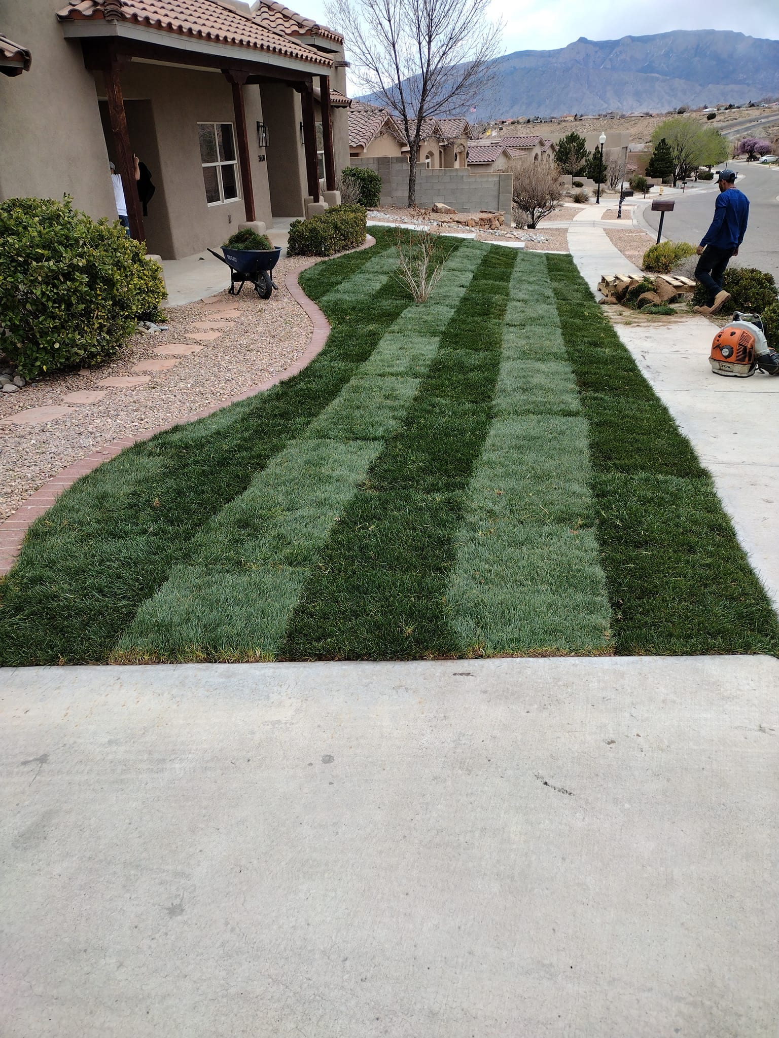 Residential lawn maintenance