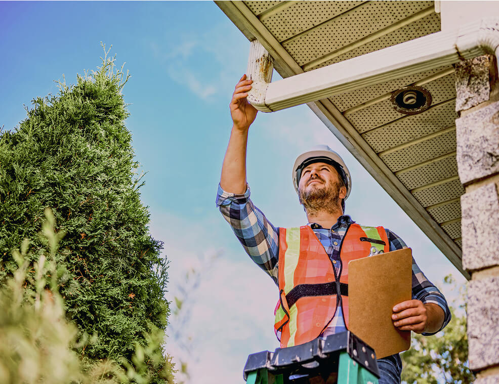 Offers and Promotions