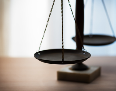 Special education advocacy