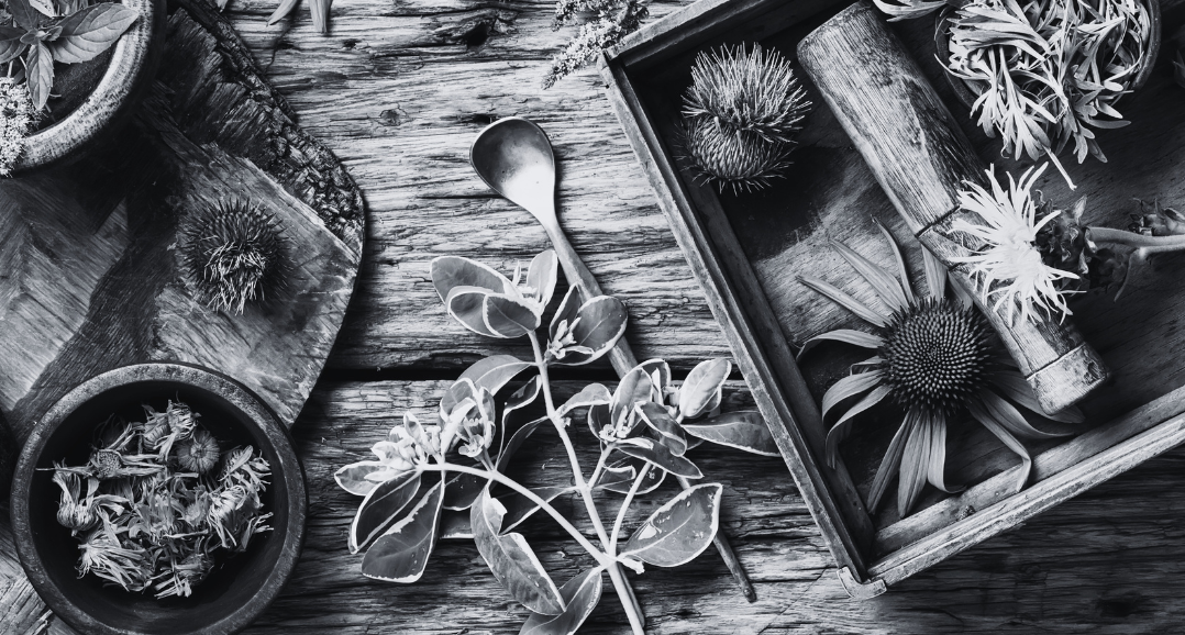 Chinese Herbal Medicine