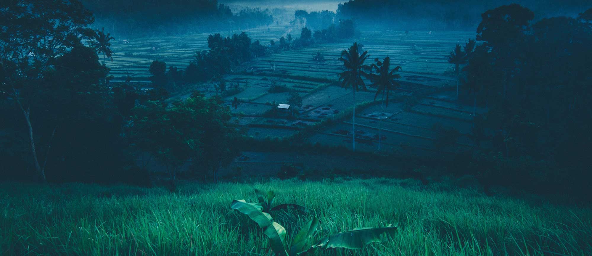 Acupuncture treatment