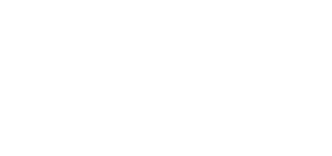 Aladdin Garage Doors Logo