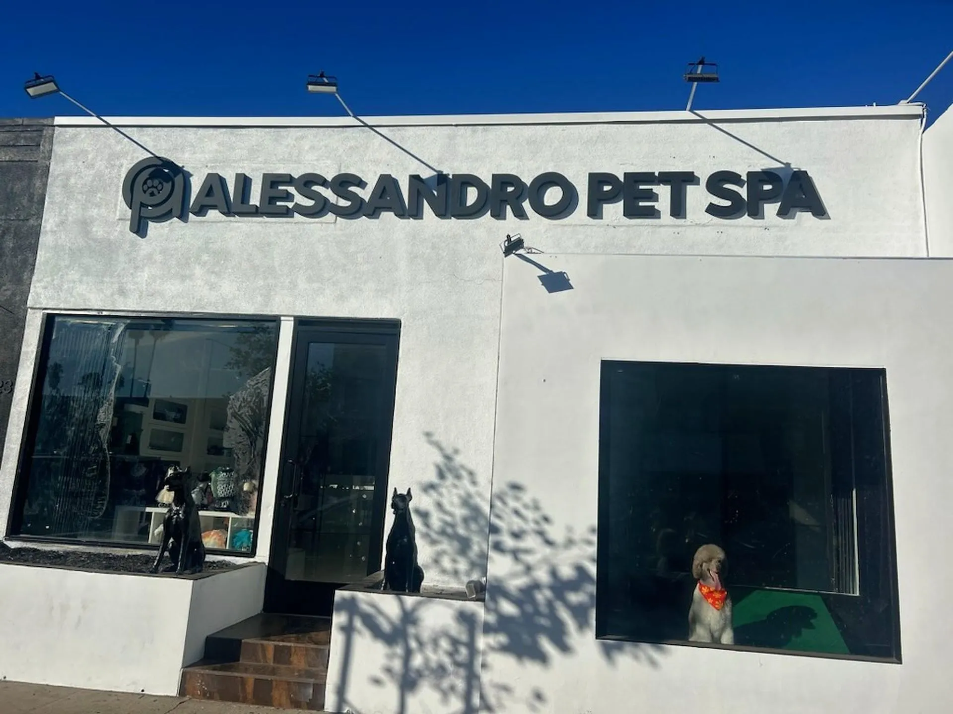 Alessandro Pet Spa — professional grooming