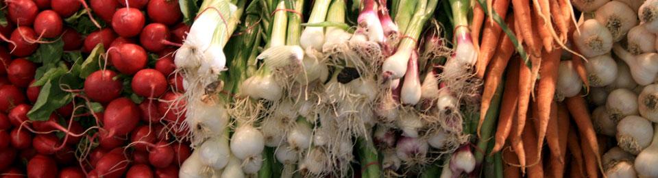 All Catering Seattle catering spread