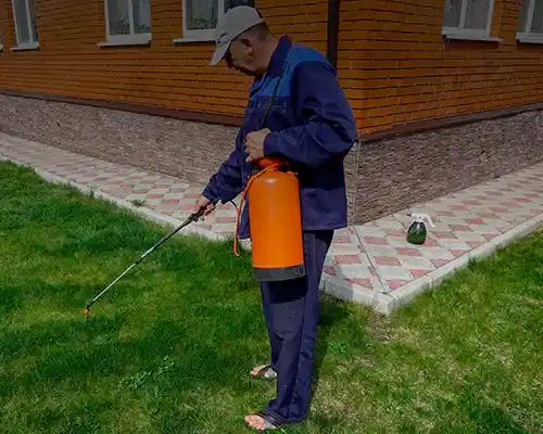 Exterminator services