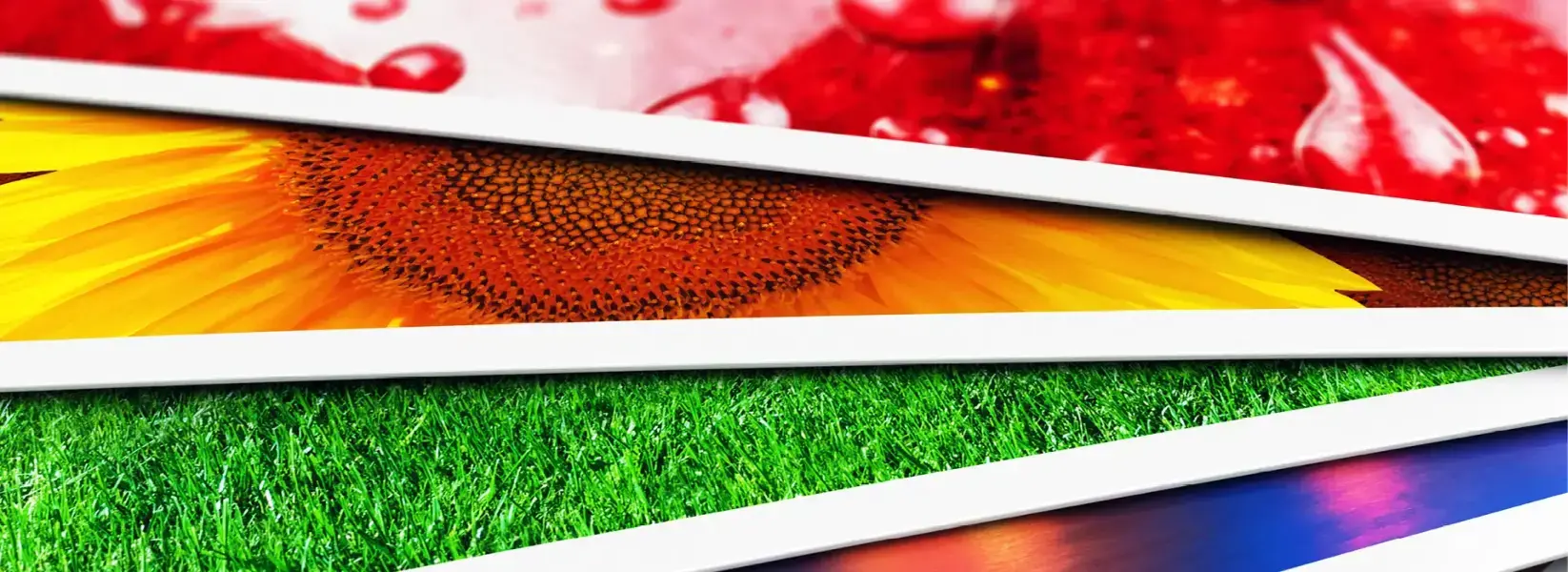 AlphaGraphics print and marketing production