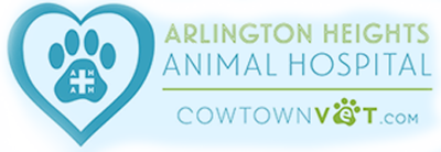 Arlington Heights Animal Hospital interior