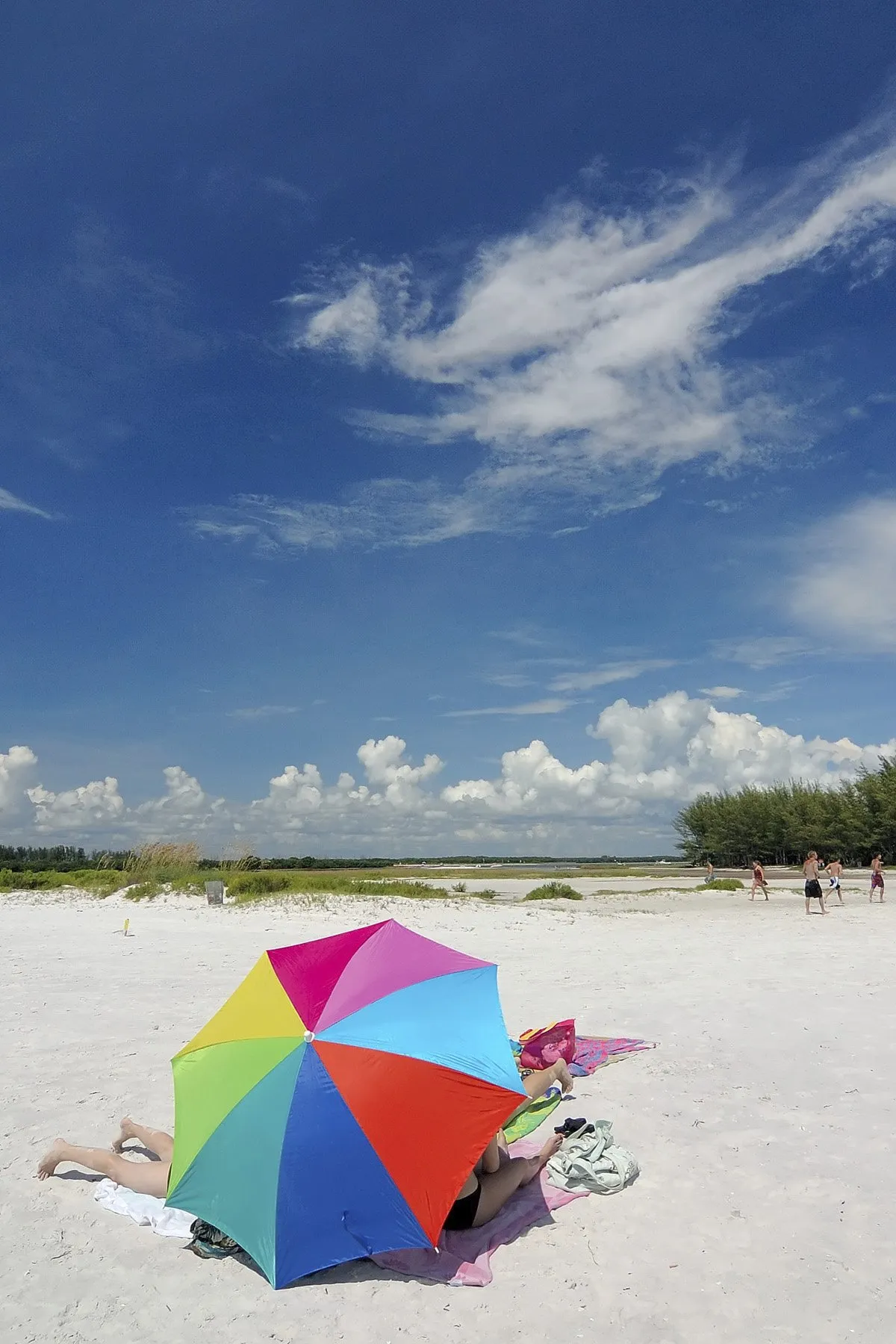 Tampa Bay luxury property