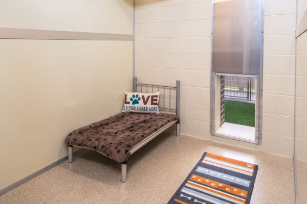 Solid Walls inside Suites