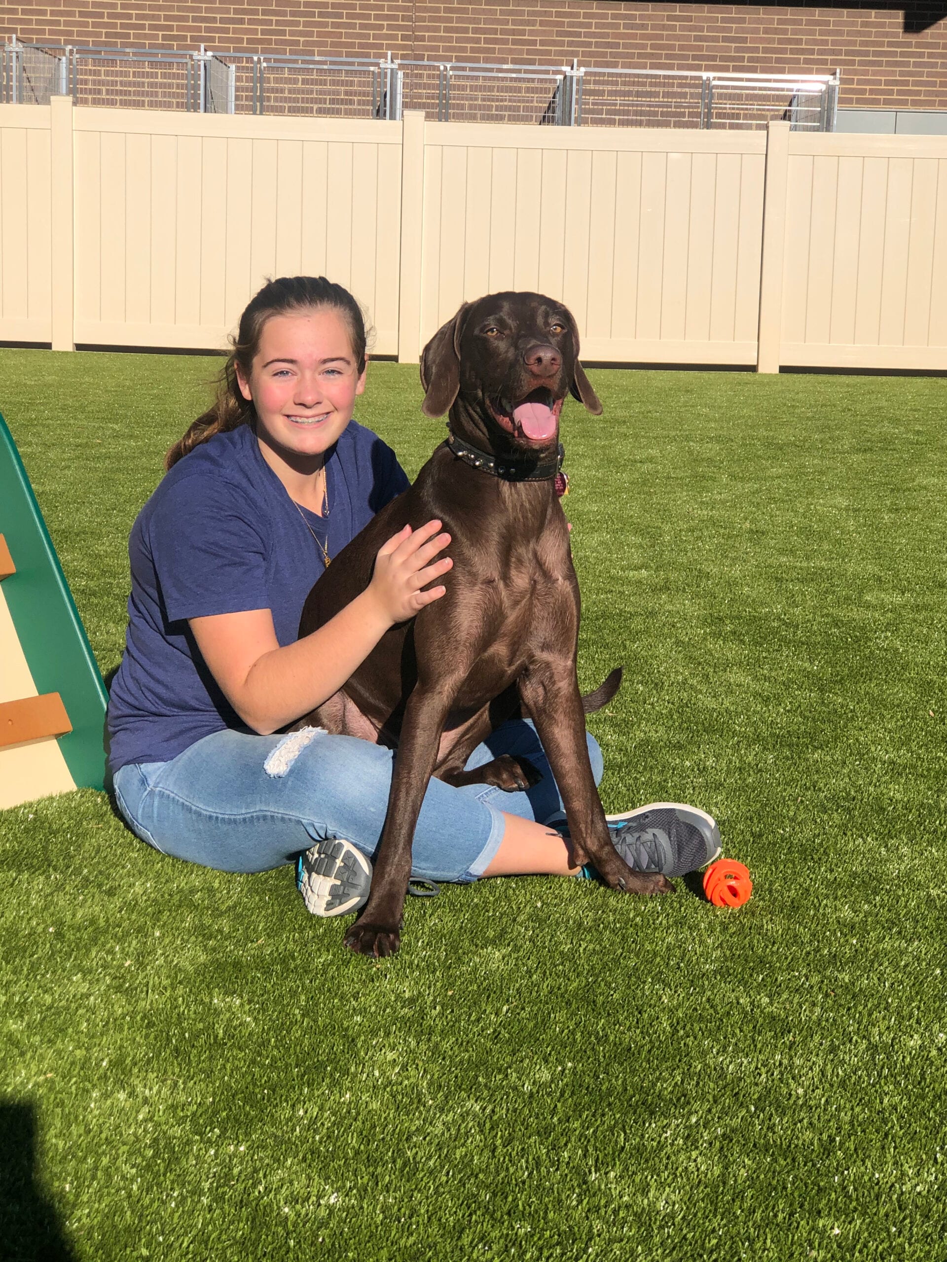 Bed & Bark Pet Resort