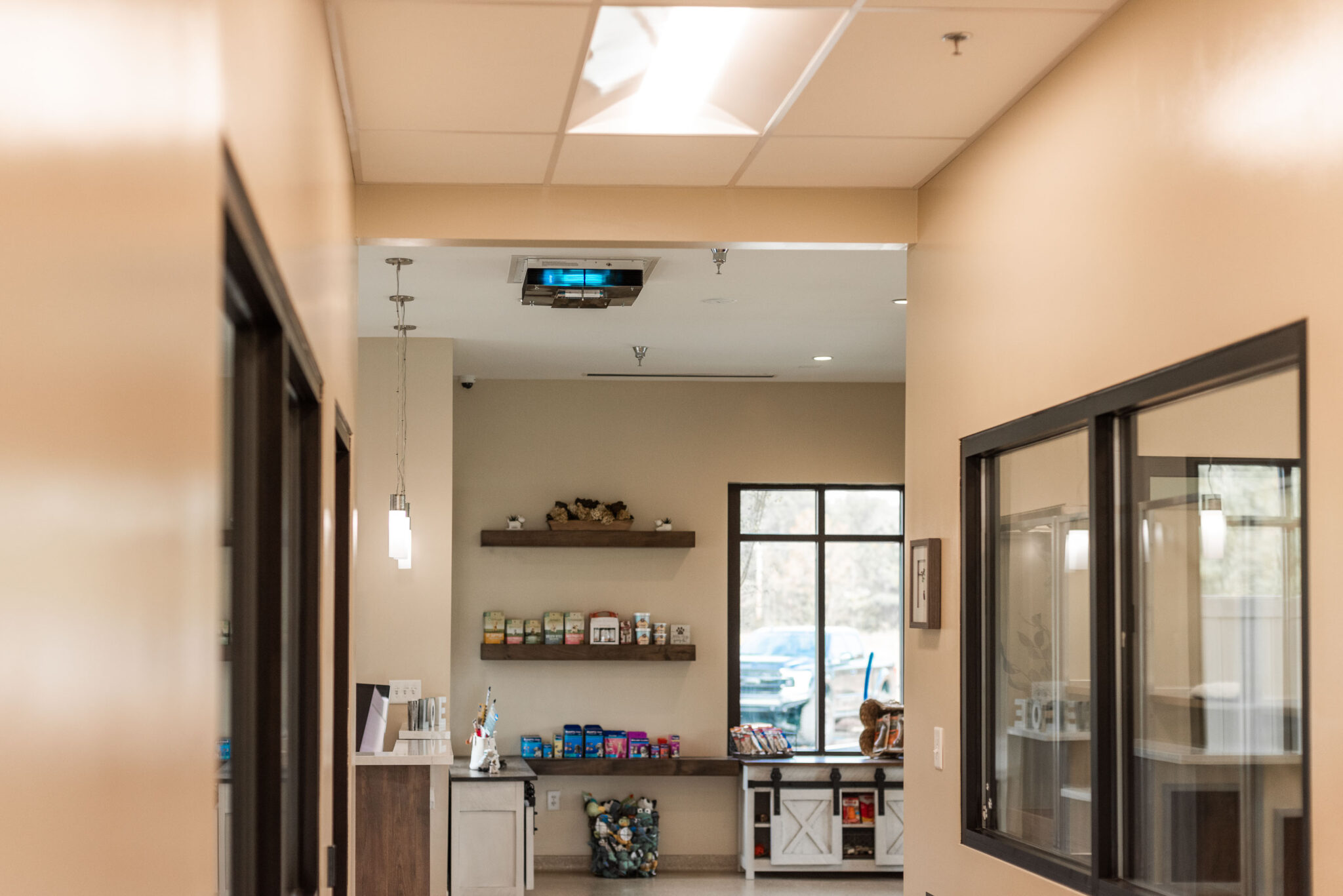 PetAirapy UV protection at Bed & Bark