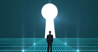 Practice Area Search