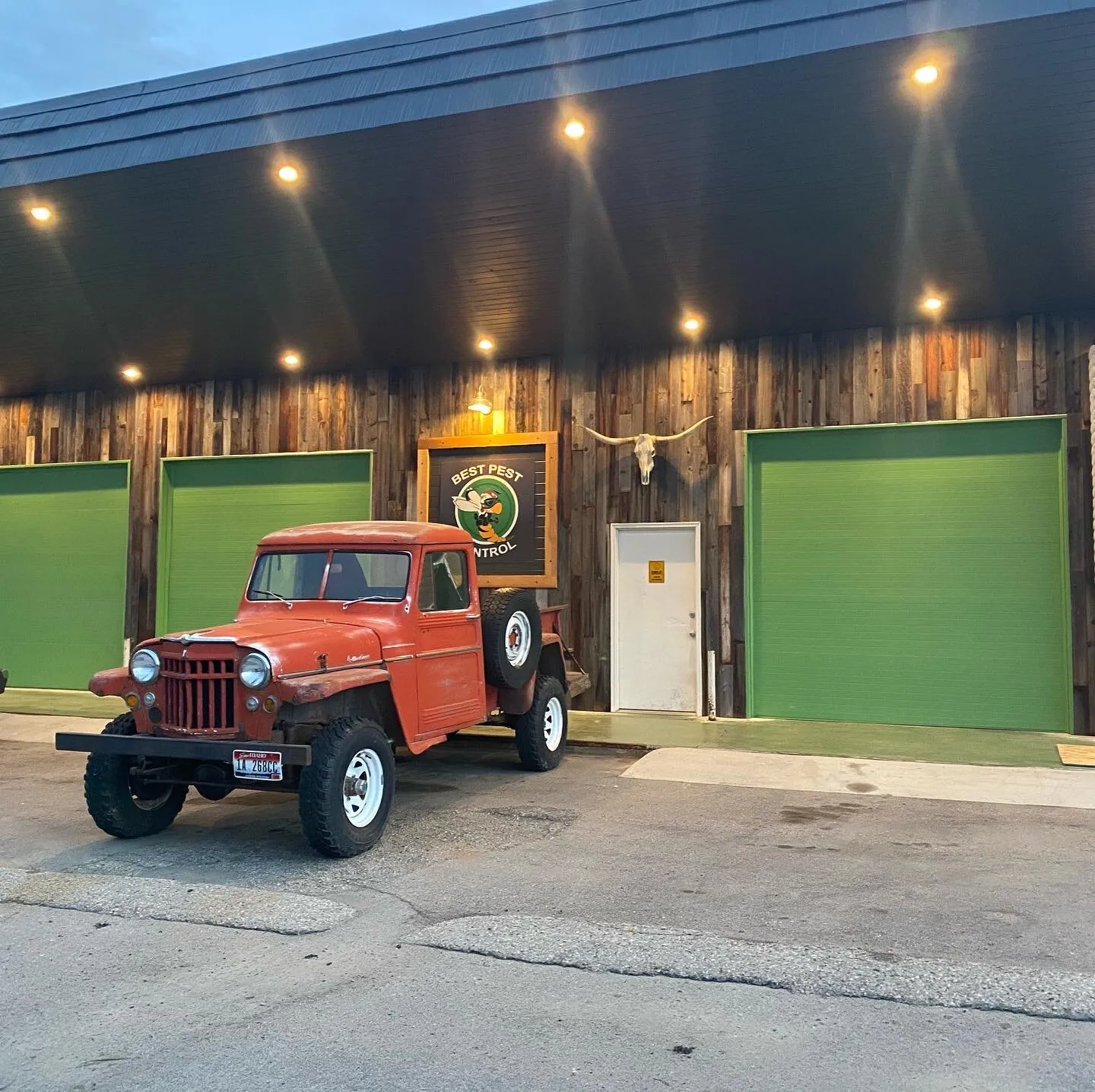 Pest control professional at work