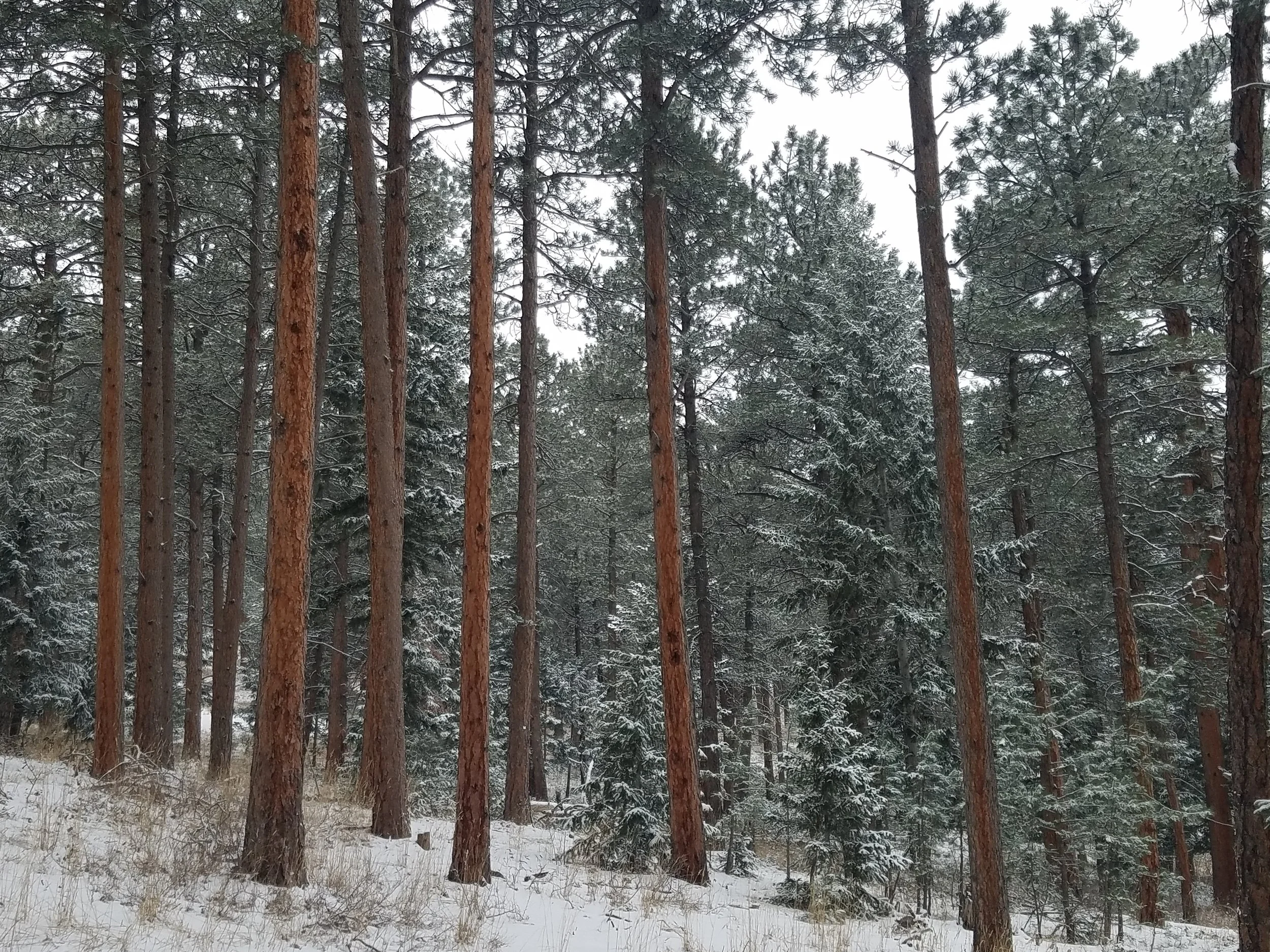 Blake the bookkeeper at work in Boulder