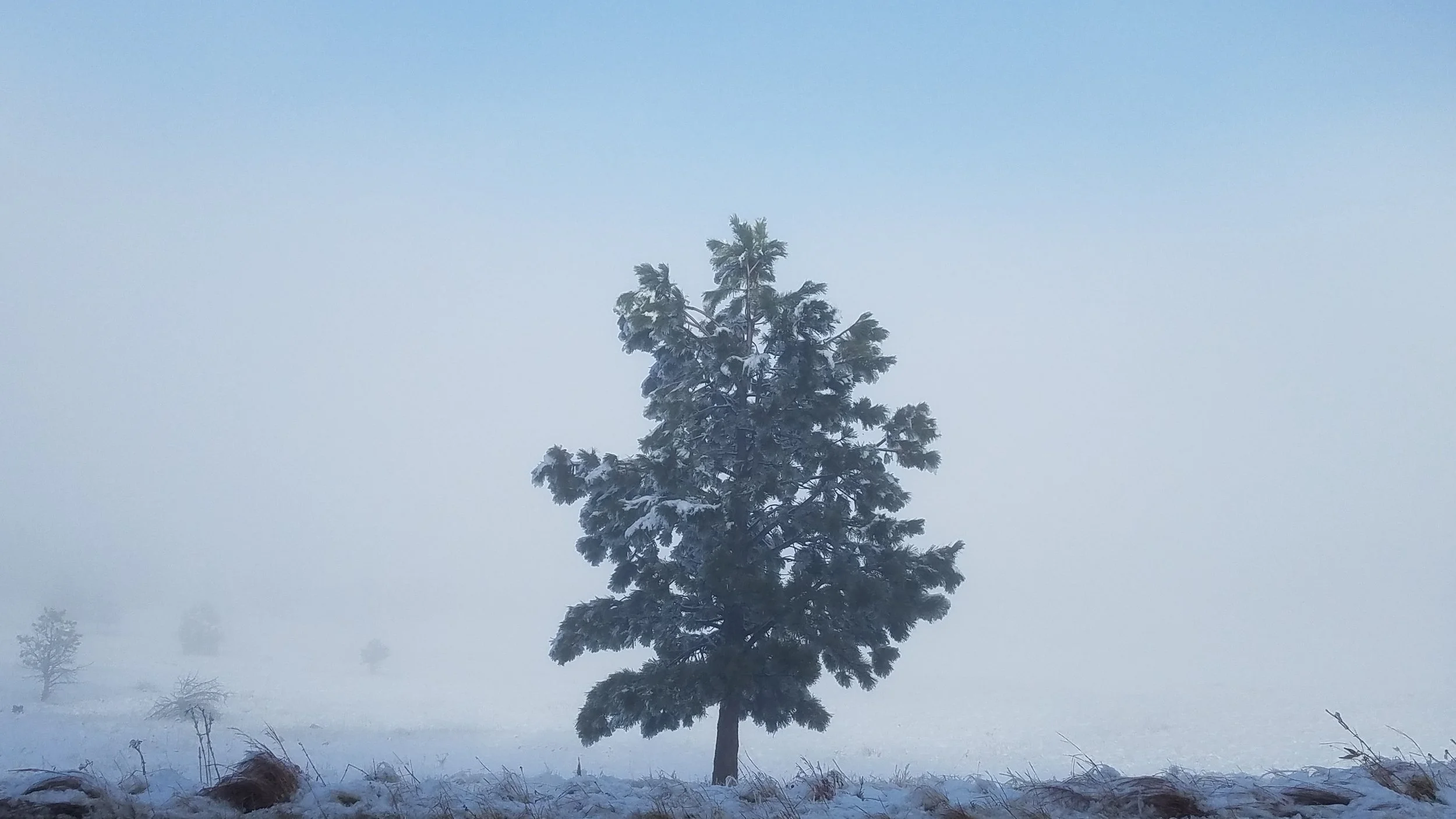 Boulder Colorado bookkeeping professional