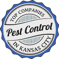 Top Pest Control in Kansas City