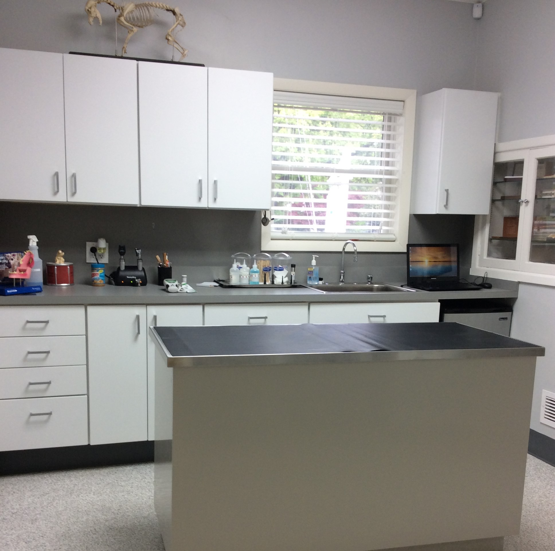 Wellness & Preventative Care