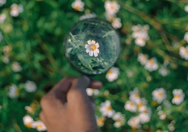 How to Write an Effective Mission Statement