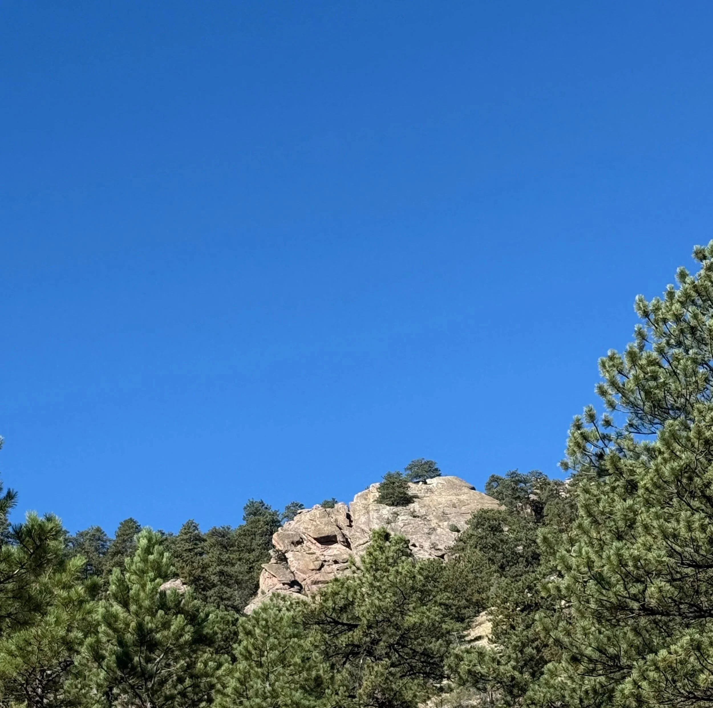Boulder Yoga Studio practice