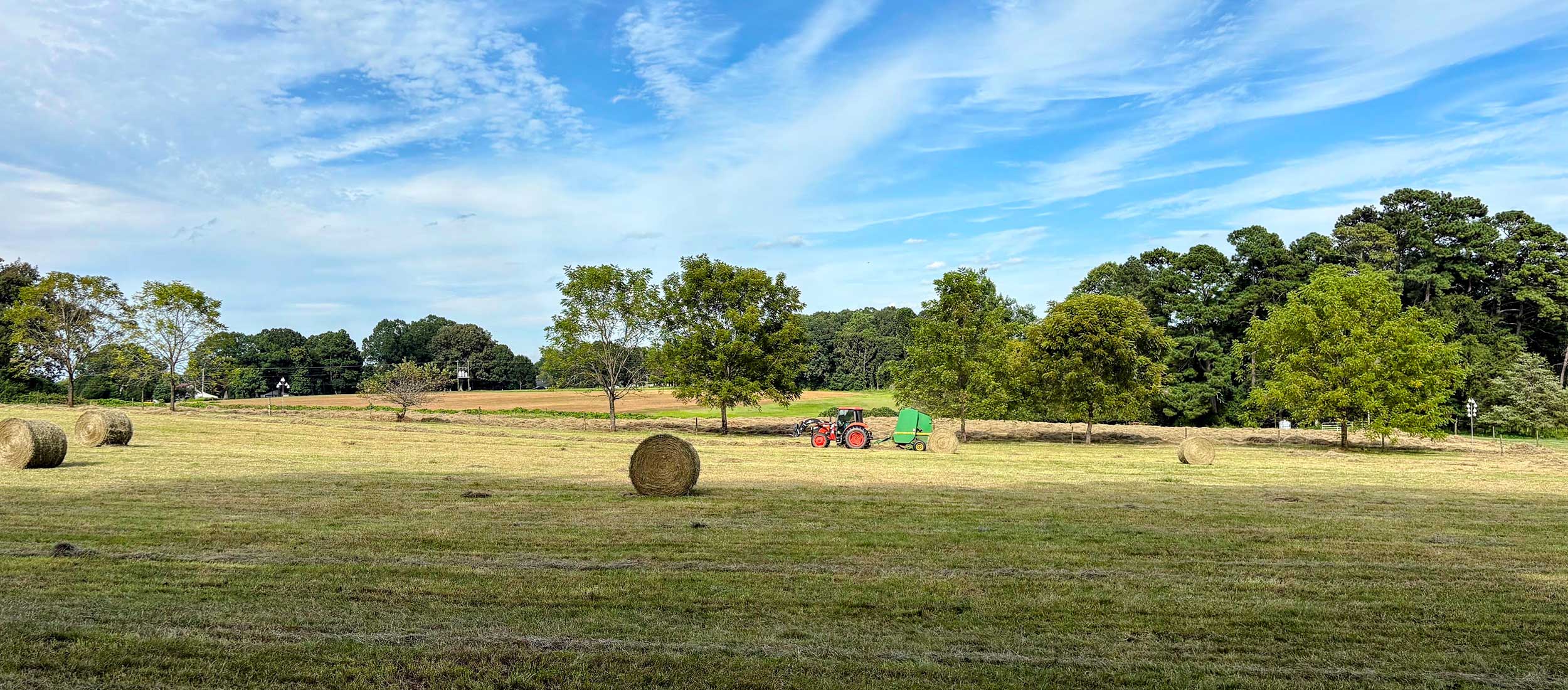 Business owner wealth management