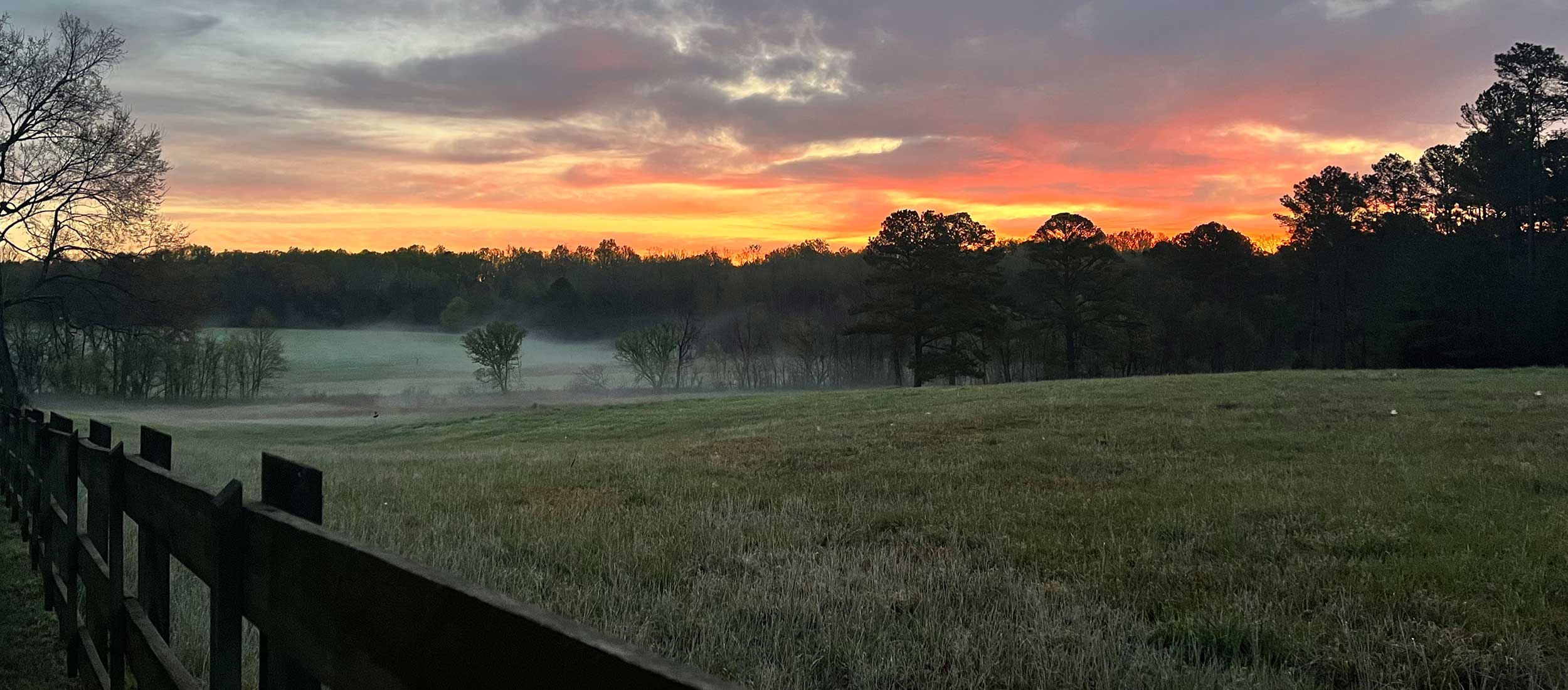 Wealth planning for families