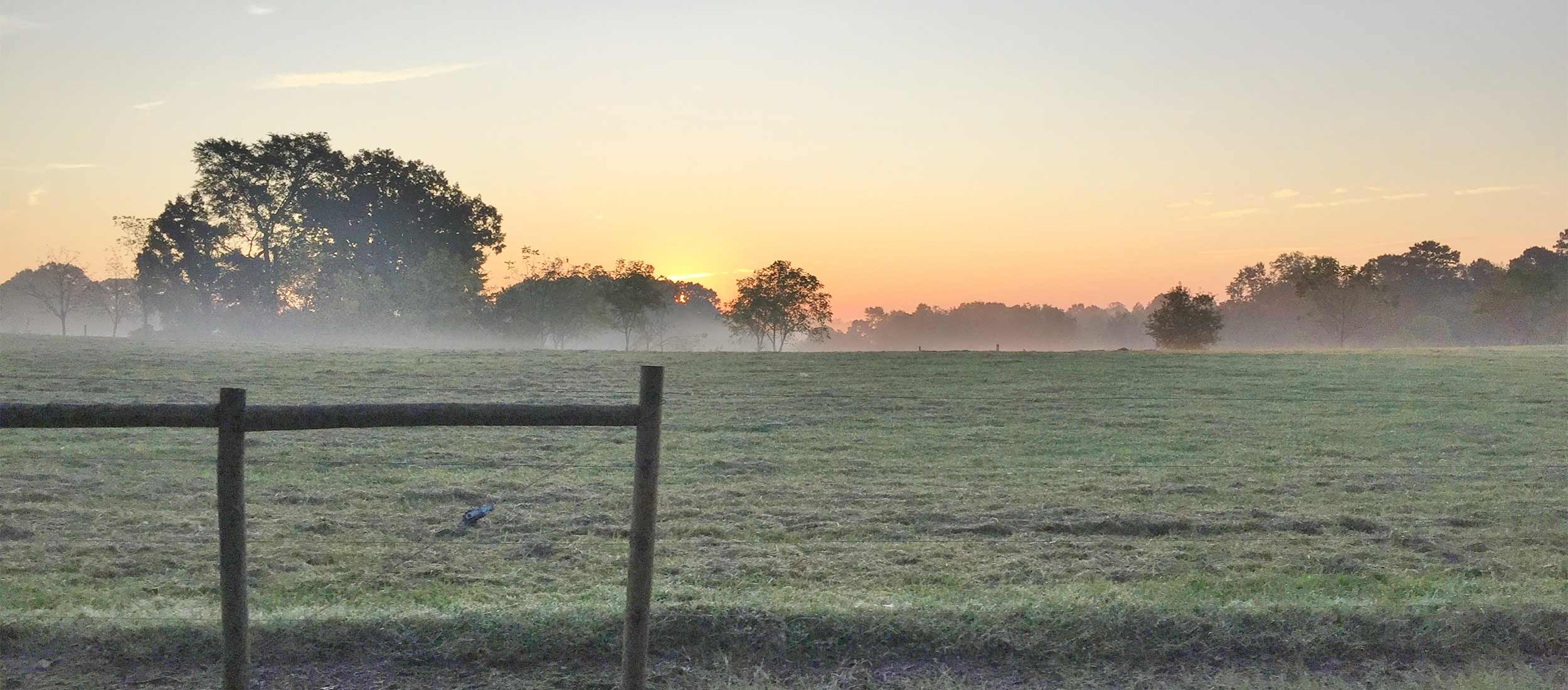 Bragg Financial team