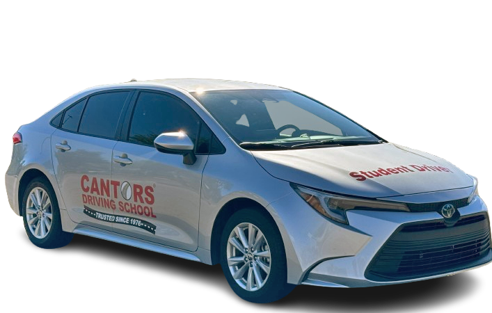 Professional driving instructor