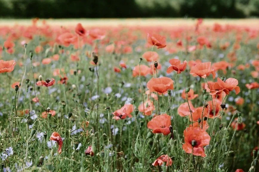 Estate planning attorneys in San Francisco