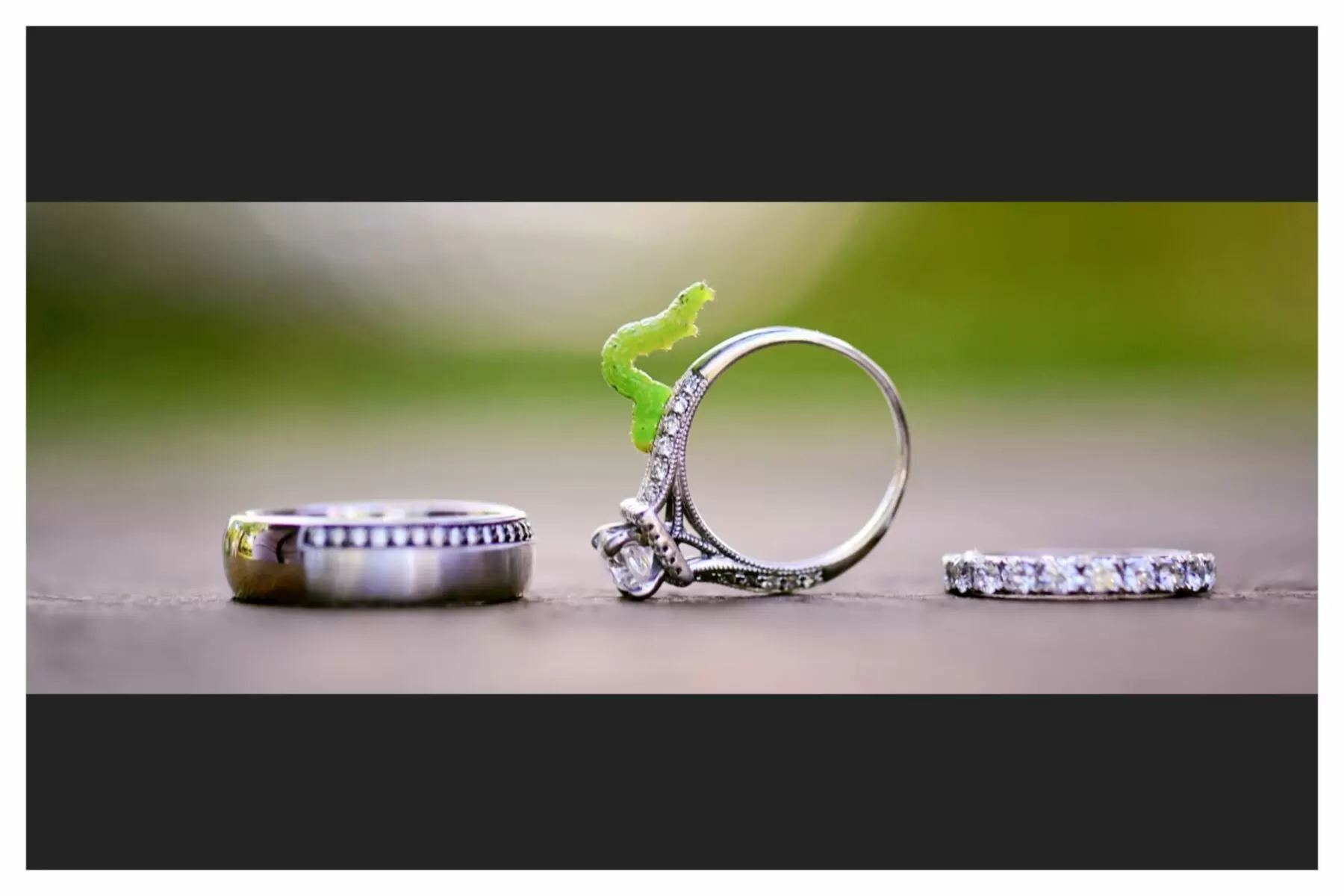 Wedding catering elegance