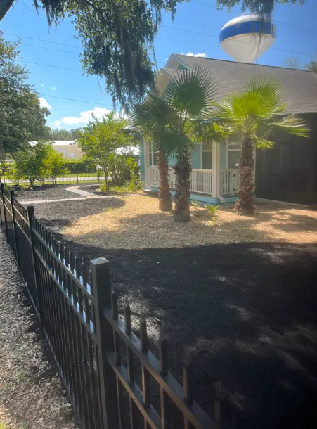 CL Landscape project