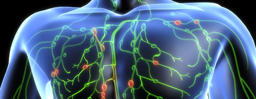 Electro Lymphatic Drainage