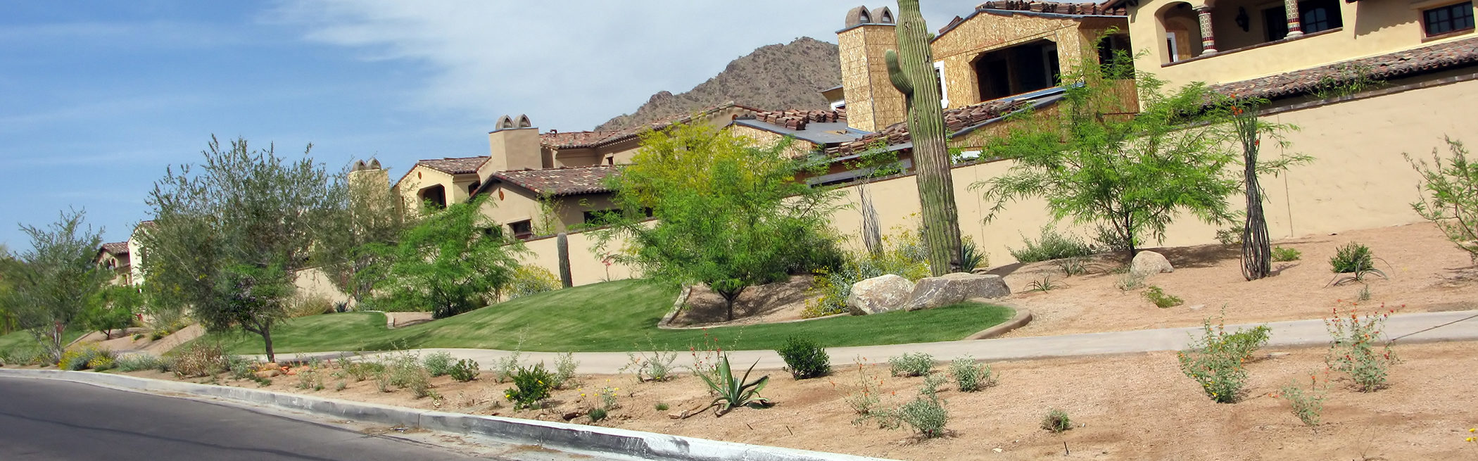 Complete Landscaping Tucson
