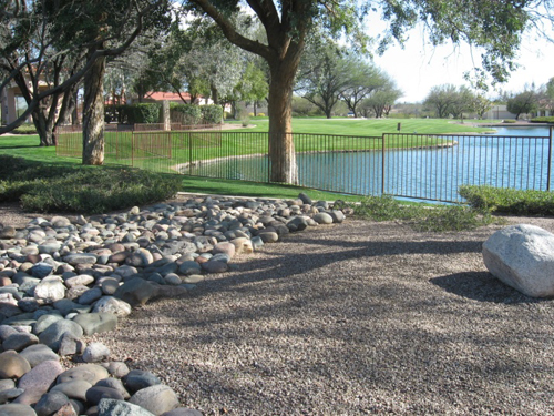 Landscape design Tucson