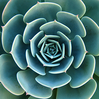 Hotel Resort Landscaping