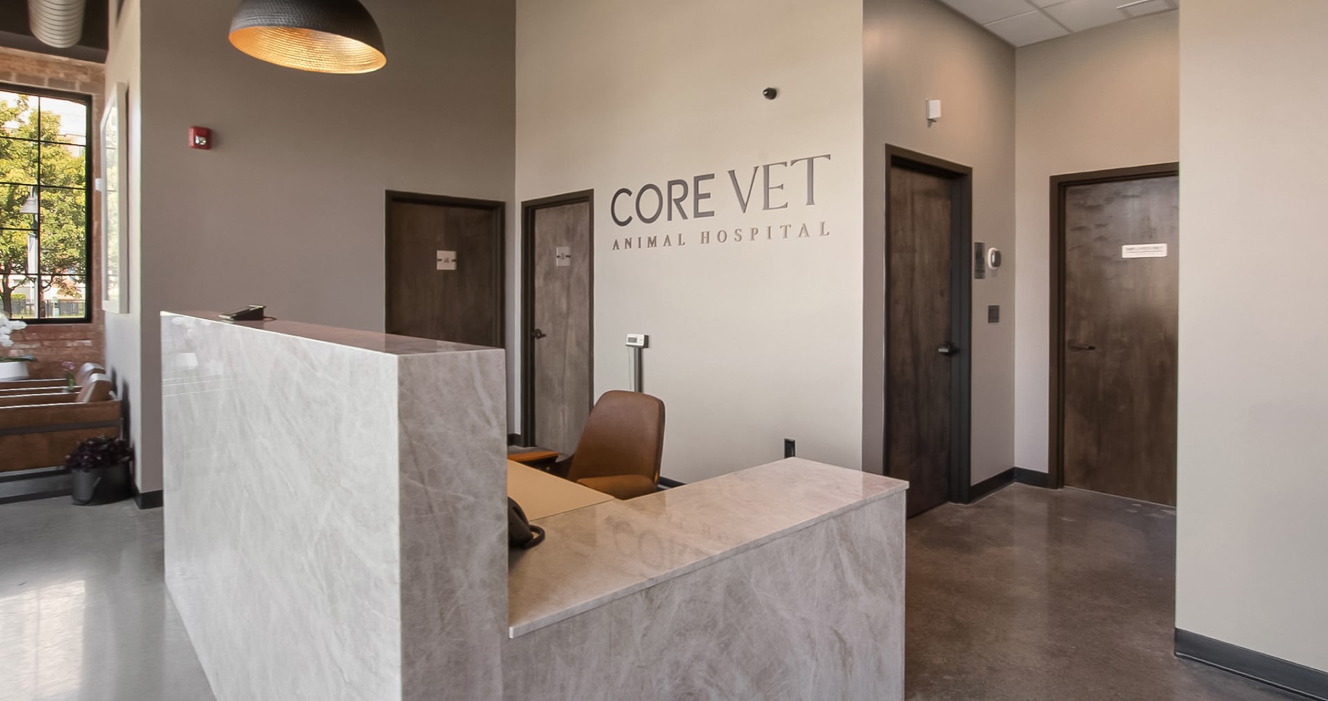 General and preventive care for pets