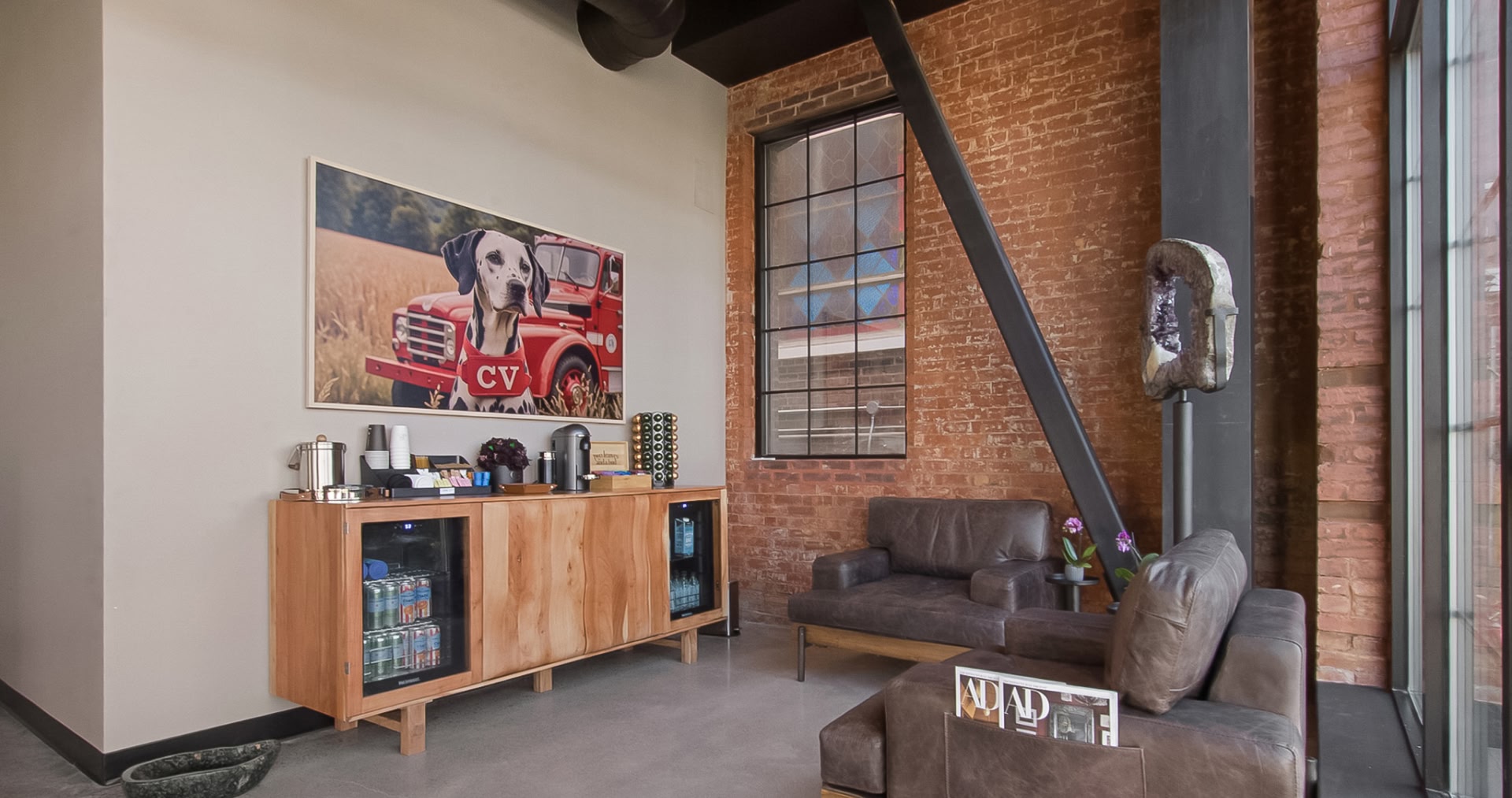 Elective and advanced surgery for pets