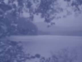 Counseling West Seattle warm welcoming office