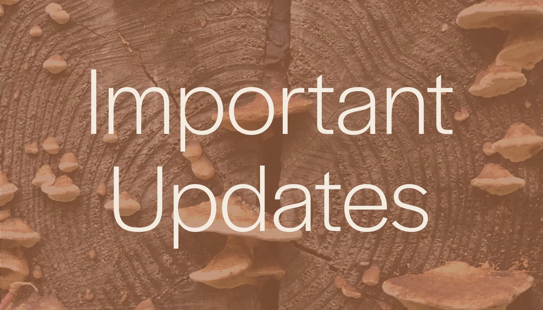 Important immigration updates