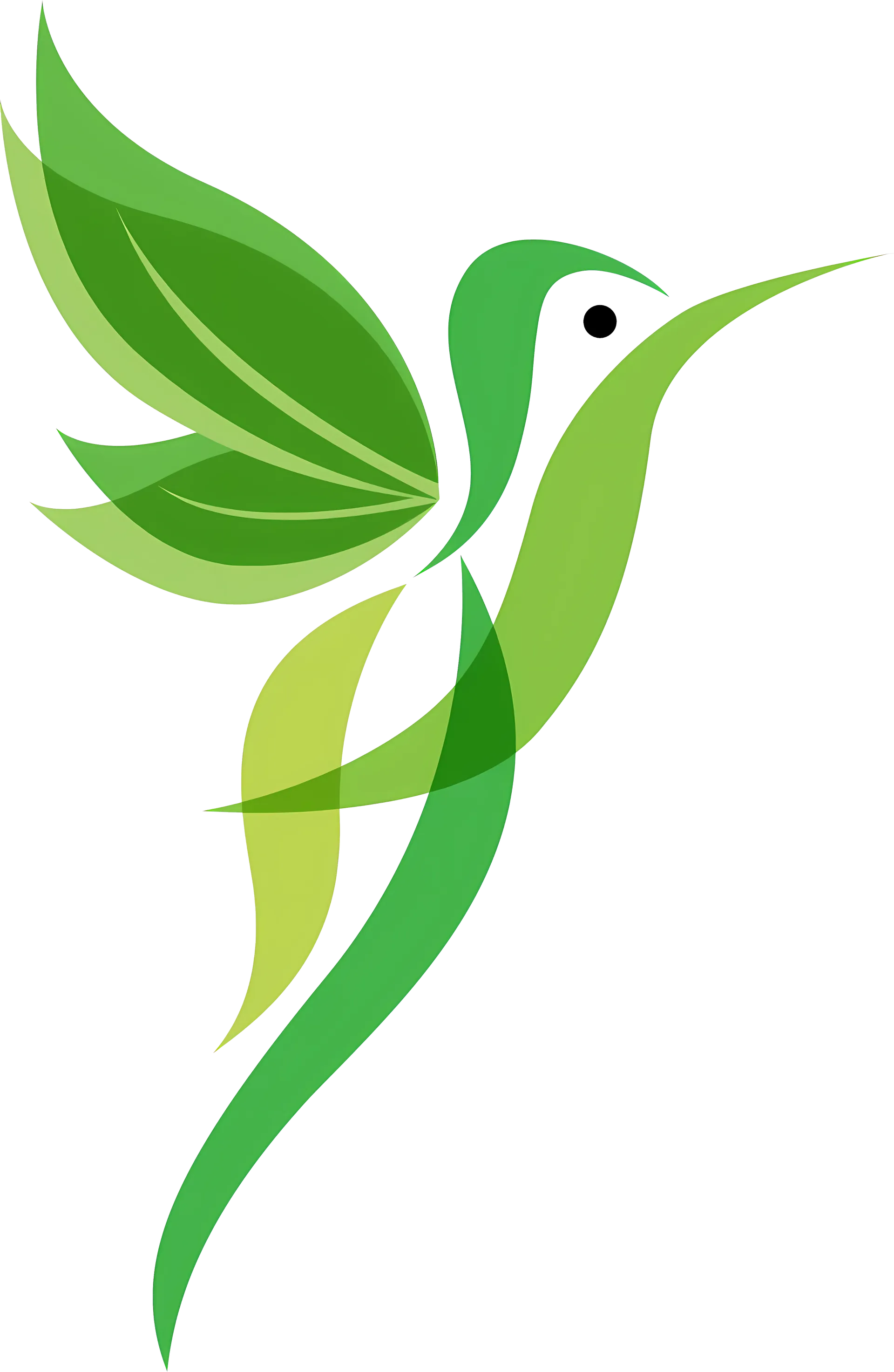 Bird's eye view landscape project