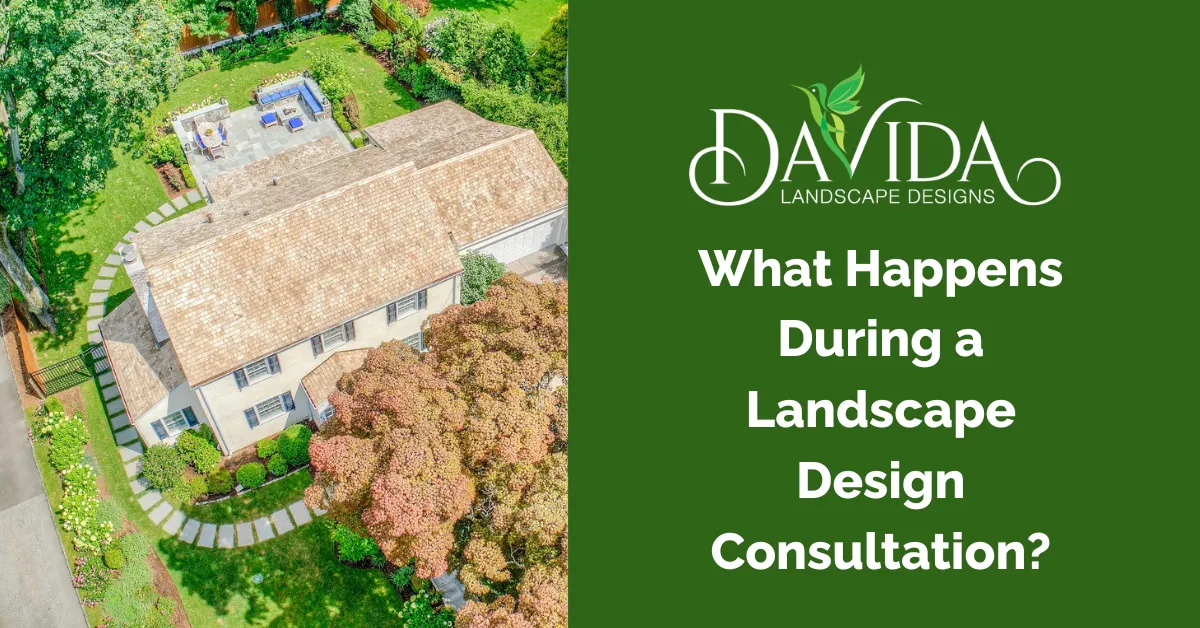 Aerial view landscape project