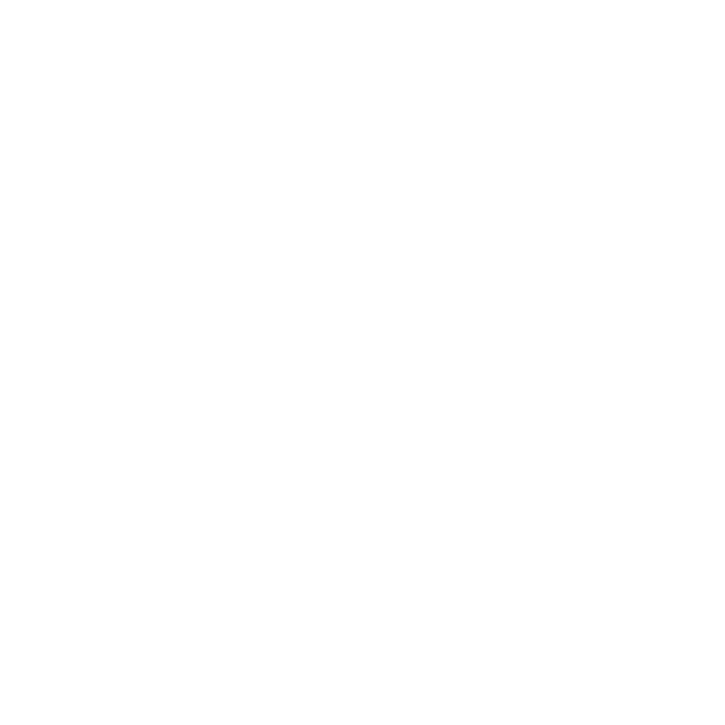 Defensive Driving School Logo