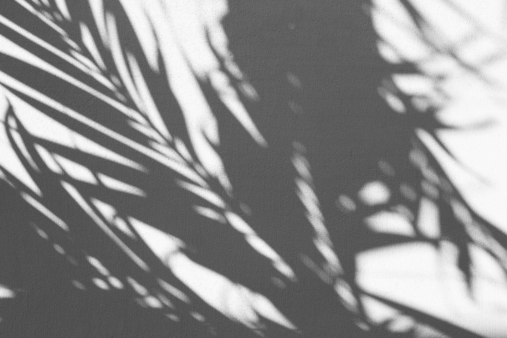 Modern dental studio in San Diego