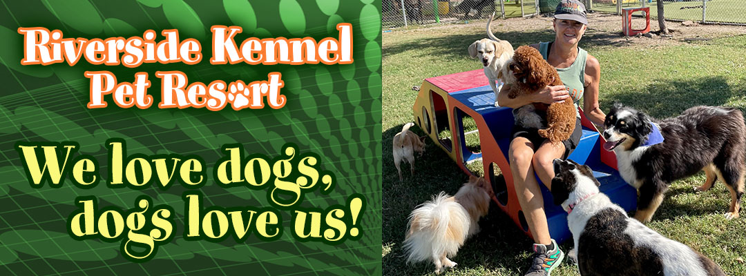 Riverside Dog Kennel - Fort Worth