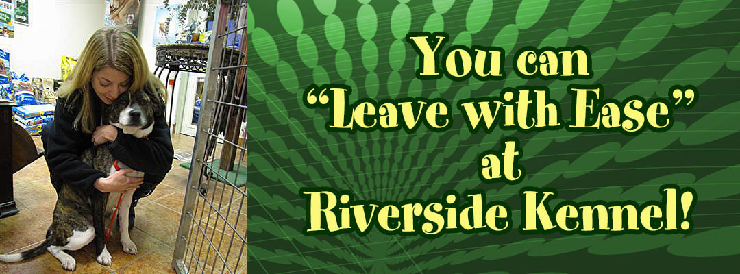 Dogs enjoying outdoor time at Riverside Kennel