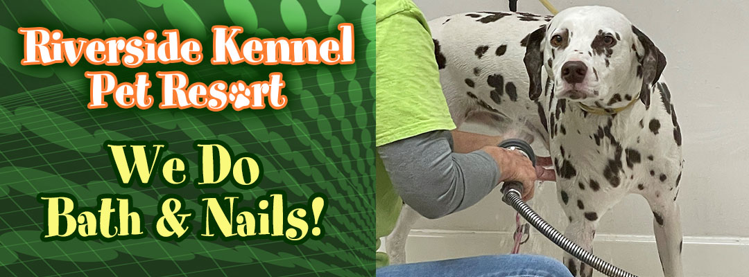 Riverside Dog Kennel - Bath and Nails