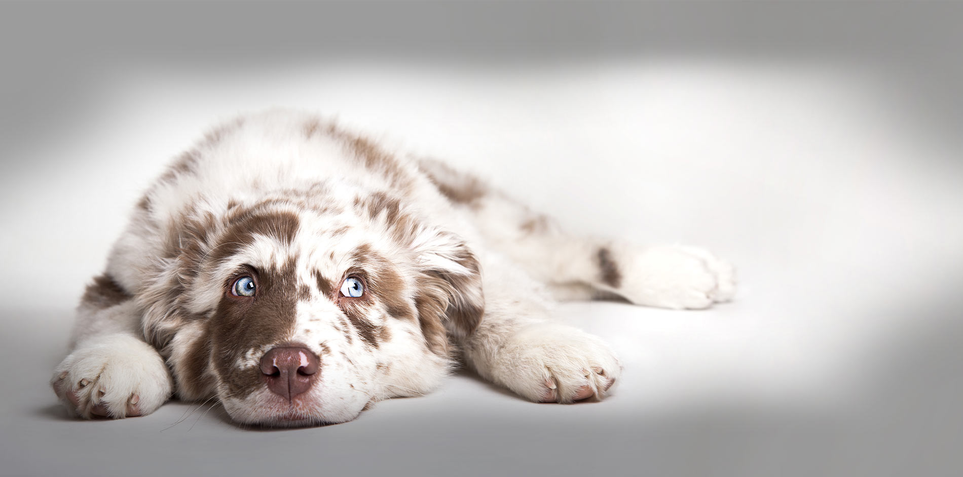 Holistic grooming approach