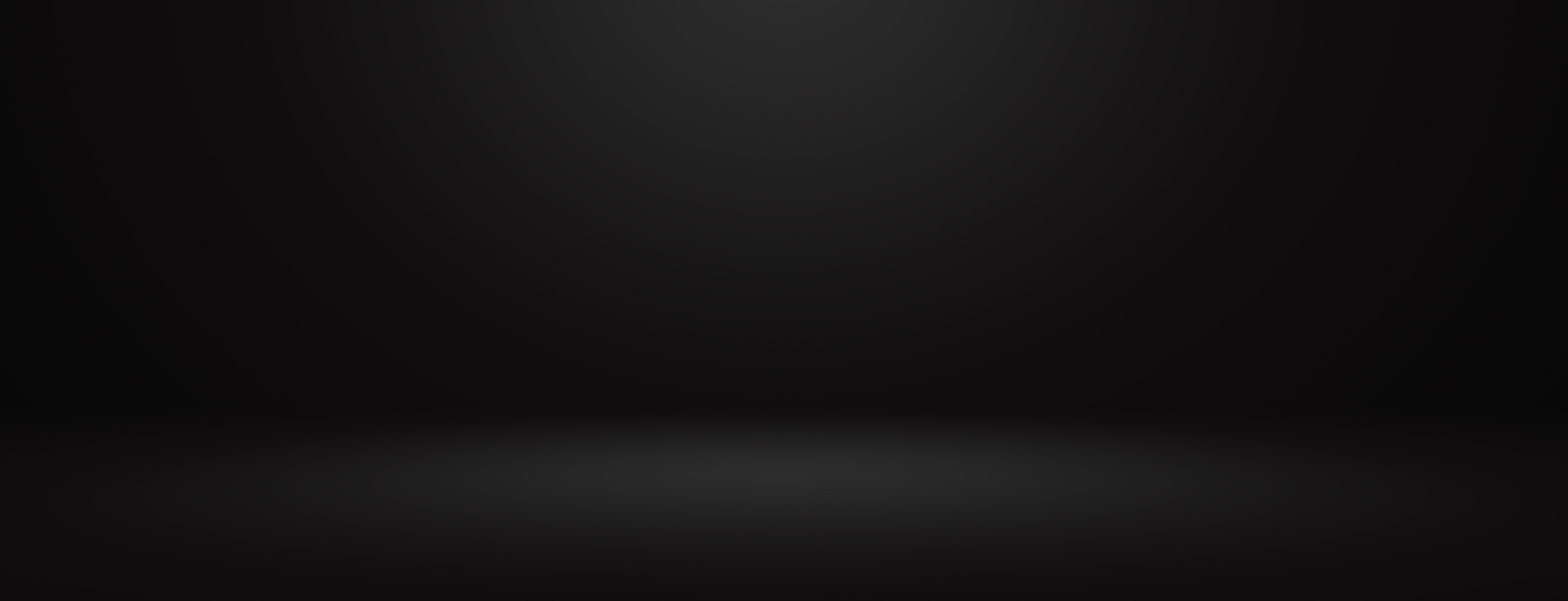 Professionally groomed dog at Doggie Divine