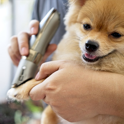 A la carte grooming services