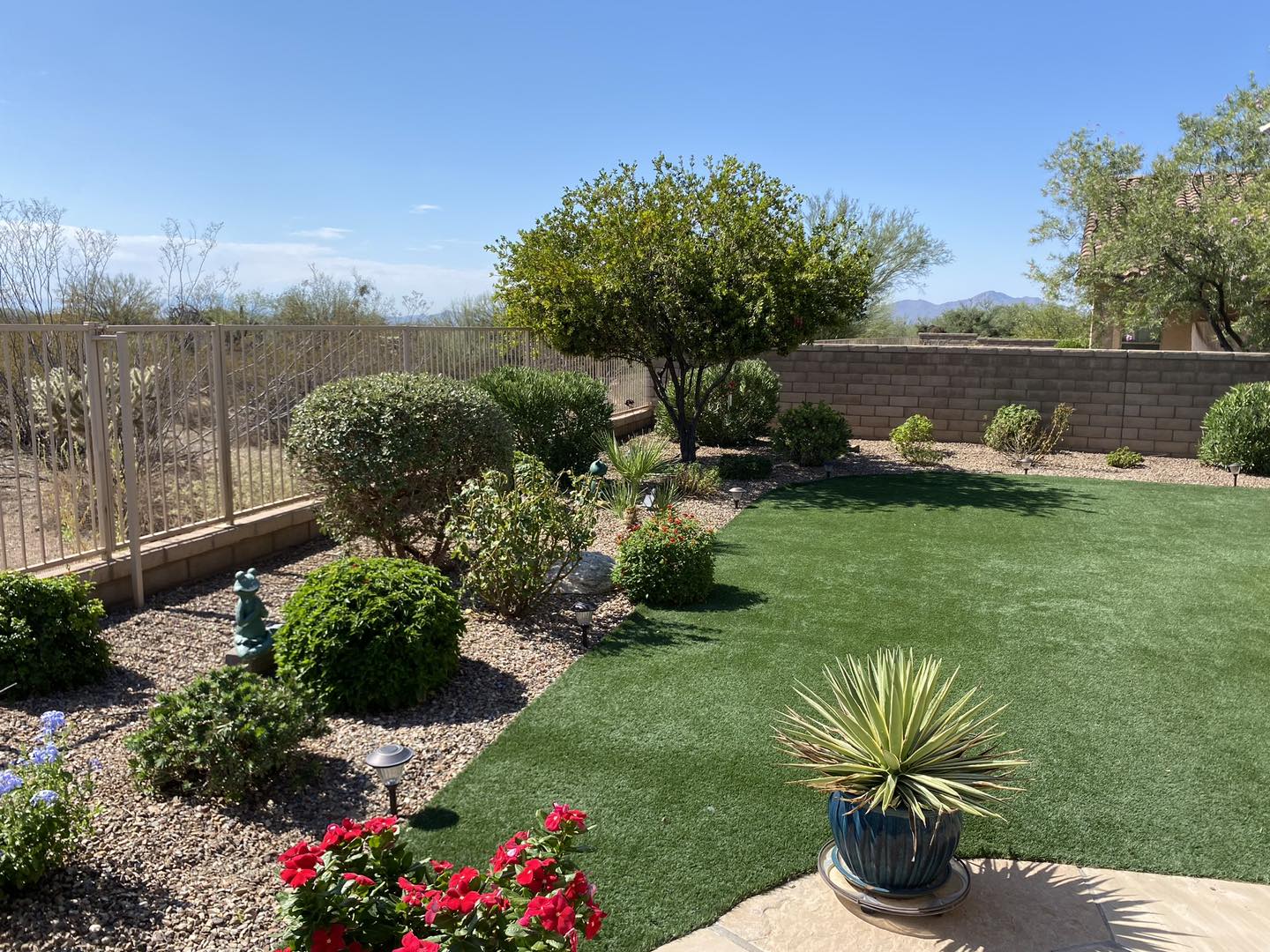 Yard maintenance Tucson