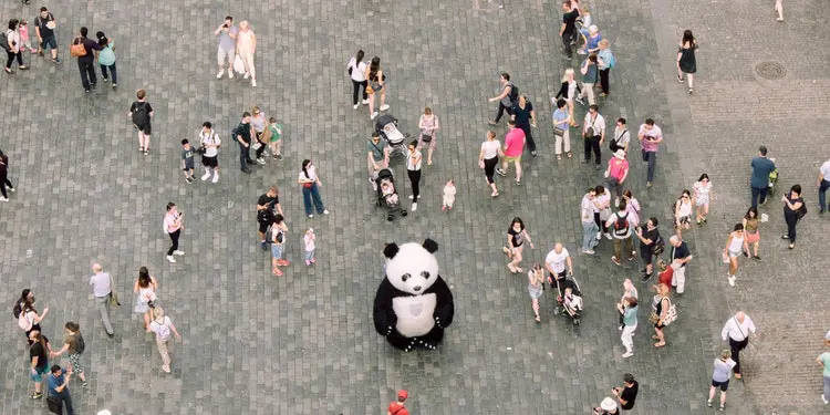 Search for therapists by location